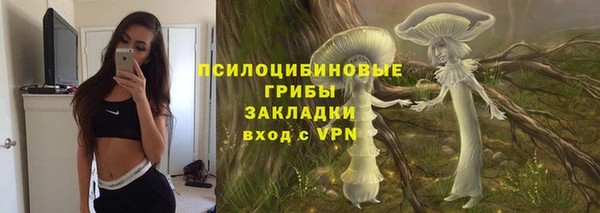 гашик Алзамай