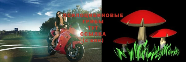 соль ск Алексин