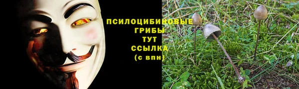 соль ск Алексин