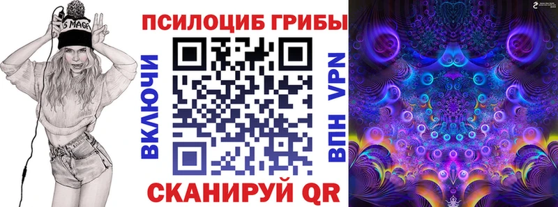 где продают наркотики  Карачаевск  Галлюциногенные грибы Psilocybine cubensis 